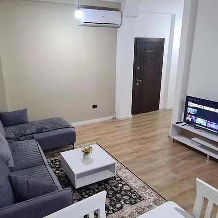 Avi - Daily Rent *