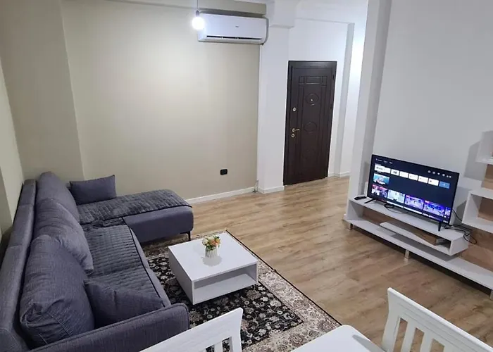 Avi - Daily Rent *